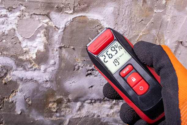 Best Commercial Mold Removal  in West Branch, IA
