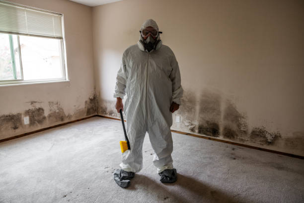 Best Mold Testing  in West Branch, IA